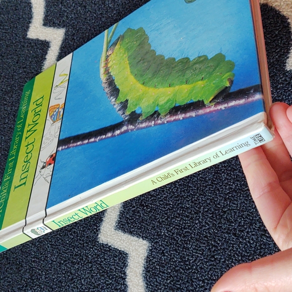 Time-Life A Child's First Library of Learning - Insect World Book - 1988 - Picture 2 of 12